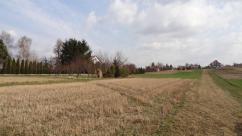 działka w Krośnie